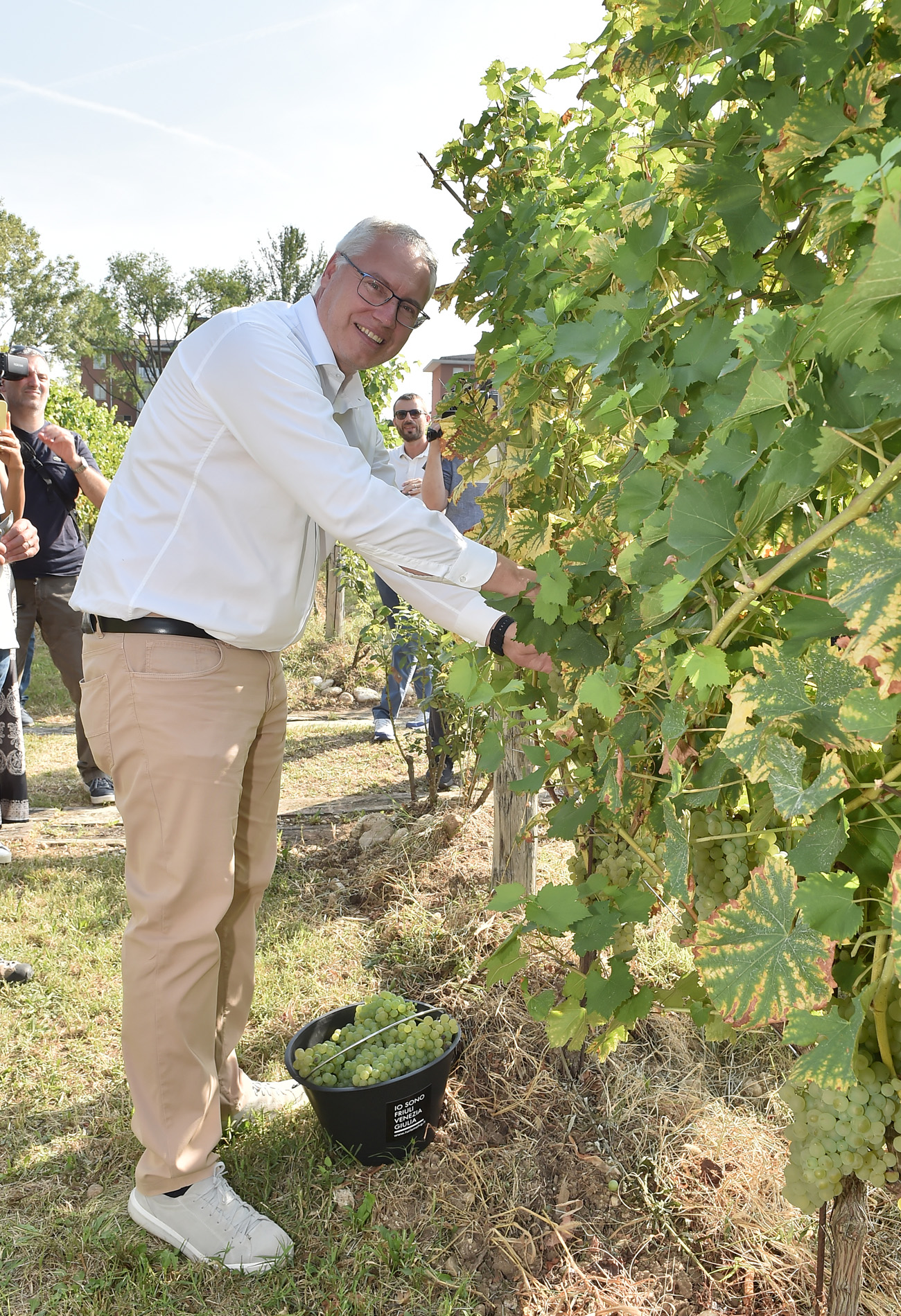 TURISMO. BORDIN: CR DARÀ SUPPORTO A PROGETTO VENDEMMIA DIDATTICA